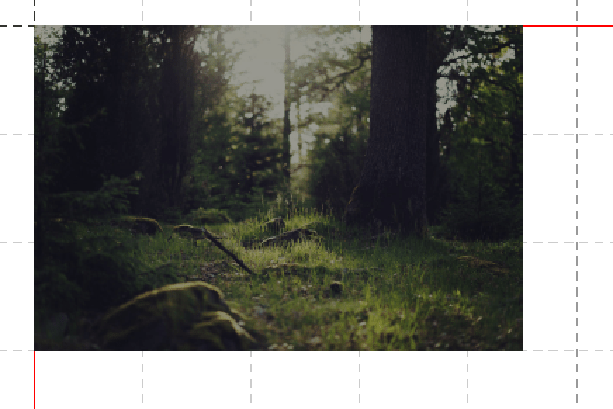 The image is limited to the height of three grid cells.