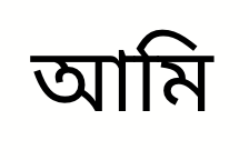 The language is recognized by the system when set to Other.